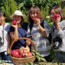 경춘농원 이미지