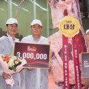 웰빙한우 이미지