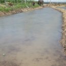 연 농장 이미지