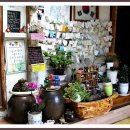 구와우순두부 이미지