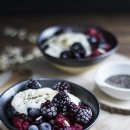 밝음농장 이미지