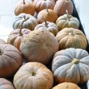 행복나눔마트 이미지