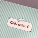 Atelier BB | [언박싱 후기] CELLFUSION C 셀퓨전씨 PHA 엔자임·쿨링 패드·BB크림 솔직 리뷰｜여드름 민감 피부 추천템
