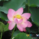 별빛달빛 이미지