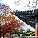 국채보상운동기념공원 이미지