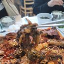 구례공영버스터미널 | [구례#읍]구례 공영버스터미널 건너_황금코다리