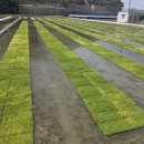 김포시농업기술센터 이미지