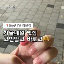 늘품네일