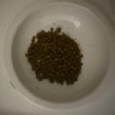 태일동물치과병원 이미지