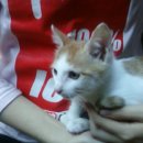 서림동-9 이미지