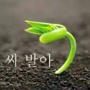 무학성 - 성북구 돌곶이로 91 | 무학성