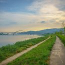 한강시민공원(등수국터널 1) | 구리 가볼만한곳, 유채꽃과 코스모스가 아름다운 '구리한강시민공원'