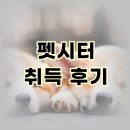 ［롱런］펫시터 양성과정 | 펫시터자격증 취득 후기 - 고등학교 졸업 후 멋지게 활동하고 있어요.