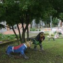 선녀와나무꾼 작은목욕탕 이미지