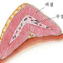 조 동물병원 이미지
