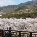 쌍계사 - 1839 | 쌍계사
