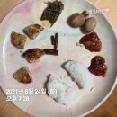 [겨울잠다이어트] 내가 다시 이걸 시작하다니 - 프롤로그 및 후기 편