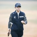 하이트퀸 이미지