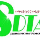 에스디티 이미지