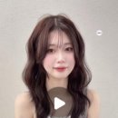 조은영,헤어