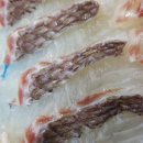 참바다회(독도수산) 이미지