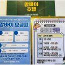 애견호텔 개인 이미지