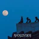 달빛여행 이미지