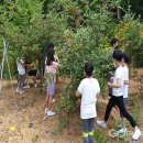 학성초등학교 이미지