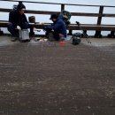 20220219영남알프스3박4일야영산행전 베이스캠프 비상식묻기