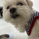 여주-0719 이미지