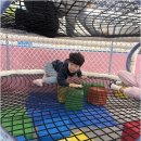 용인대윙스태권도장 네이버블로그