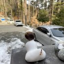 머물인 어우림 이미지