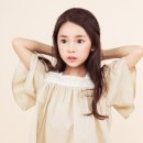더슈 이미지