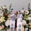 대구초재 네이버블로그