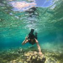 한바다참치 | 세부 막탄/보홀 호핑투어 한바다호핑 솔직 후기 (가격, 예약)