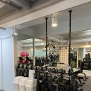 리얼디짐 이미지