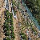 워니 농장 이미지