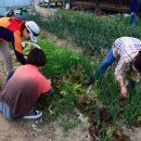 길손농장 이미지