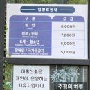 여름숲 | 부산 가볼 만한 곳 추천 <아홉산숲> 한여름 방문 후기