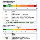 5개월 아기 두상교정헬멧 천안 하니헬멧 1개월 후기｜사두·단두·콘헤드 ( 내돈내산/추천인 가능 )