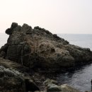 갈맷길(1코스) 이미지