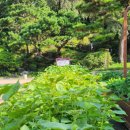 서부제4호공원 이미지