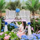 봄약국 | 5월 제주 가볼만한곳 제주도 여행 준비물