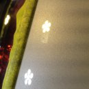 지테크닉 이미지