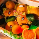 늘푸른청과 이미지