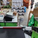 트레이더스 홀세일클럽 스타필드고양점