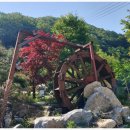 여주-1077 이미지
