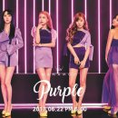 198 이미지