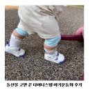 돌선물 고민 끝 걸음마신발로 유명한 타이니스텝 아기운동화 후기