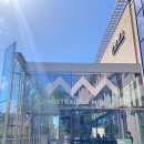 Australian museum(자연사 박물관) 방문 후기